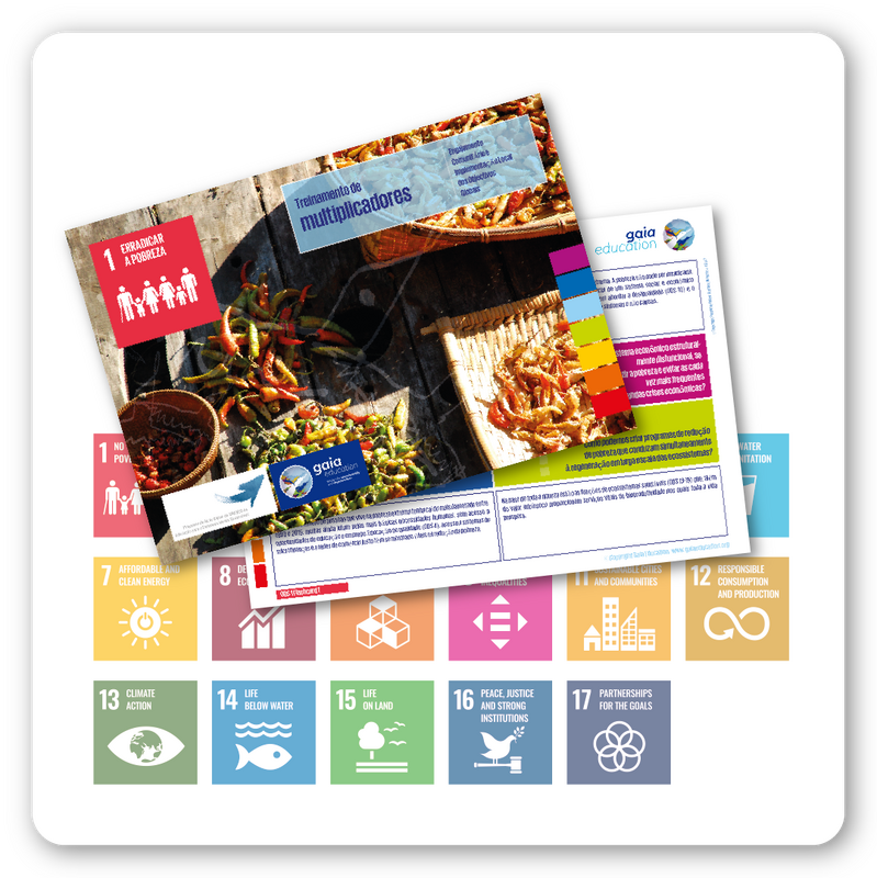 SDG Flashcards